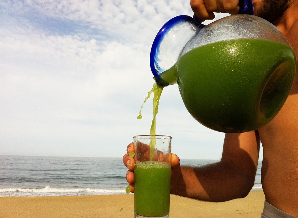 Juice Vs Diet Meals