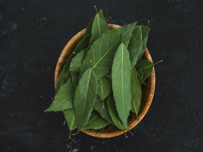 Curry Leaves