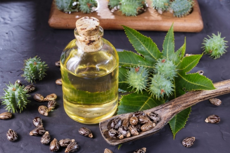 Castor Oil Support for Immunity