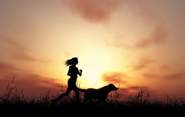 Workout with Dogs